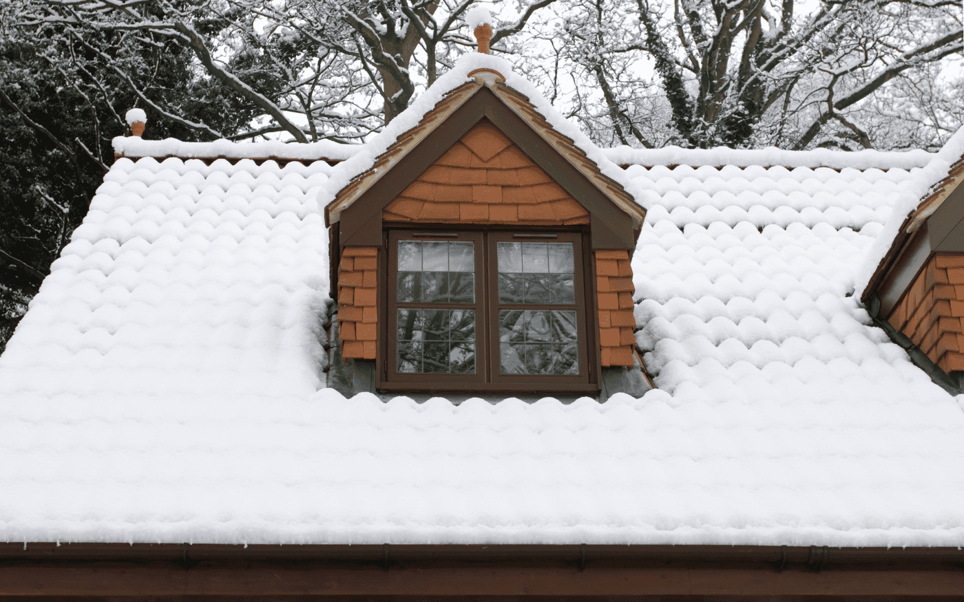 Seasonal Window Maintenance Tips for Year-round Performance